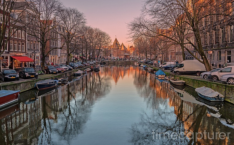 Twilight Trees - The Netherlands