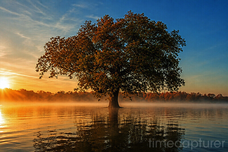 The Flooded Field - New Images