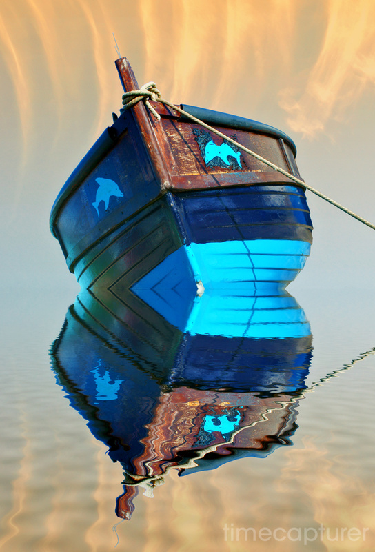 Blue Dolphins - Boat Photography