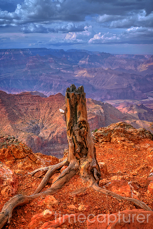 Canyon Casualty - USA (Inc. The Grand Canyon)