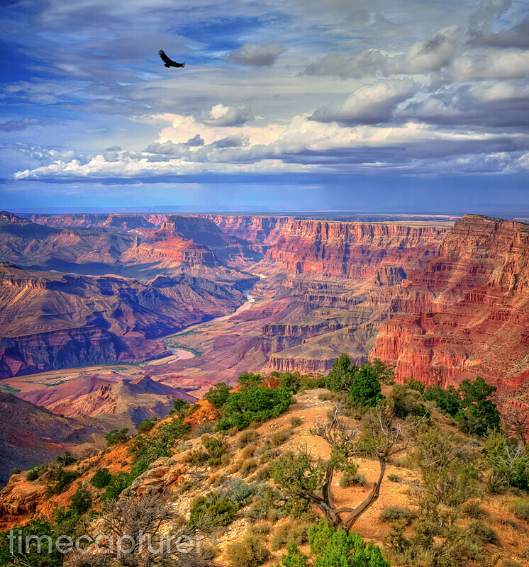 Riding The Thermals - USA (Inc. The Grand Canyon)