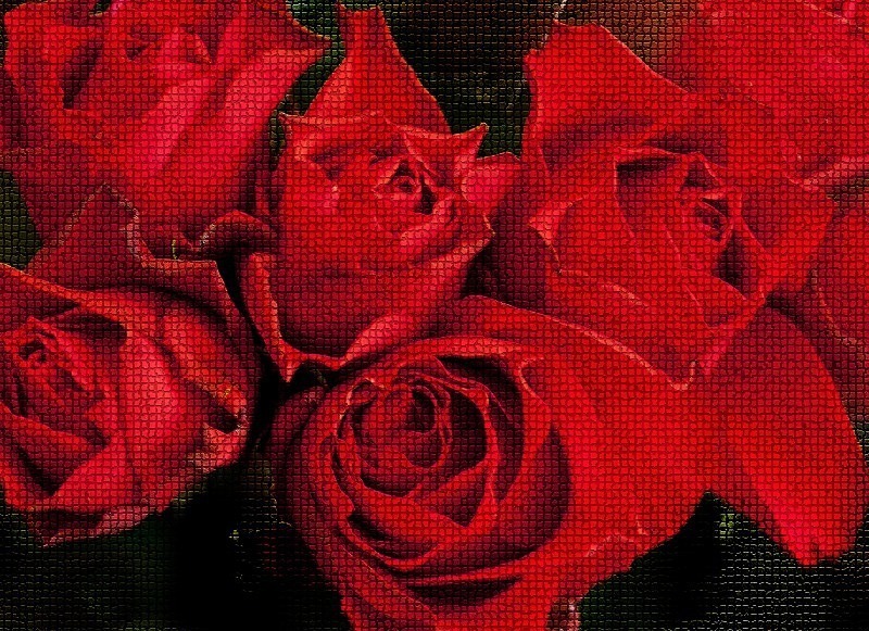  - Flora