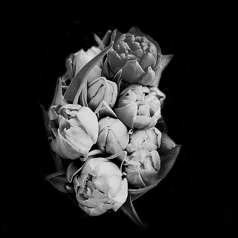  - Flora