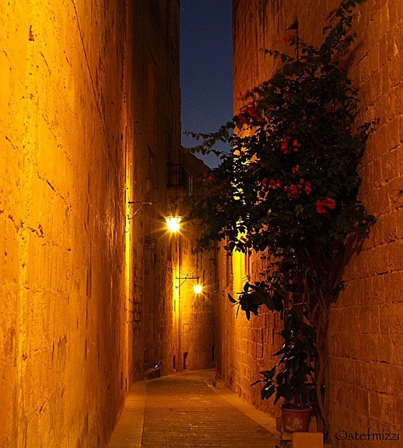  - Streets of Mdina - Stephanie Mizzi