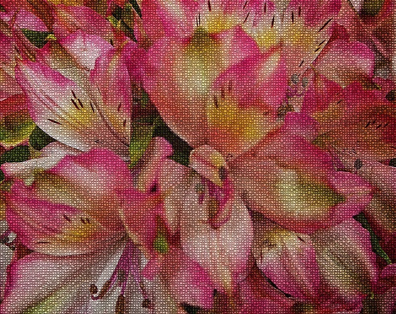  - Flora
