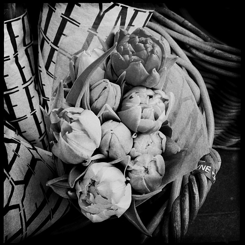  - Flora
