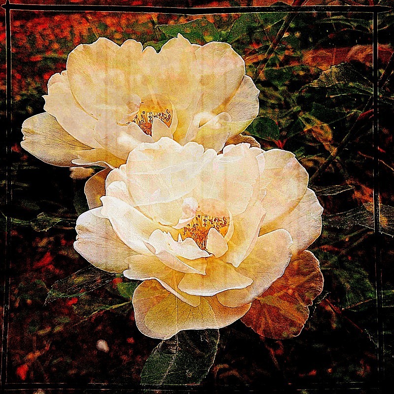  - Flora