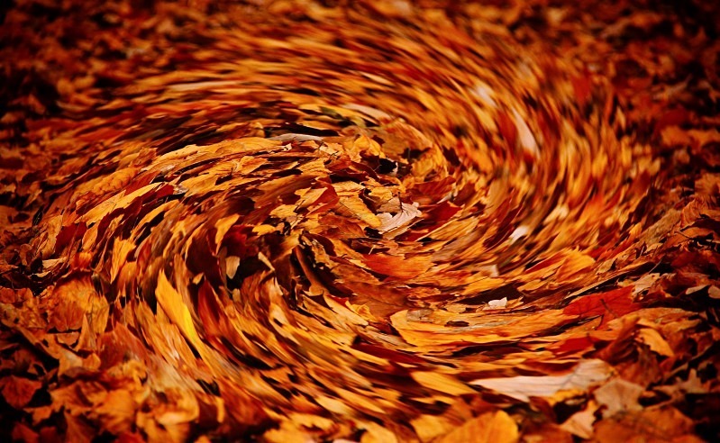 Cinquantenaire Park - November 2012 - Autumn
