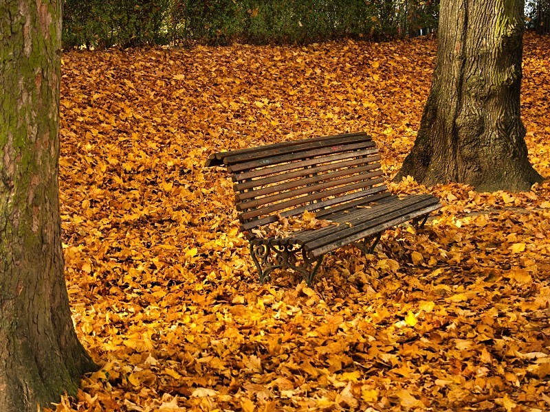 Cinquantenaire Park - November 2012 - Autumn