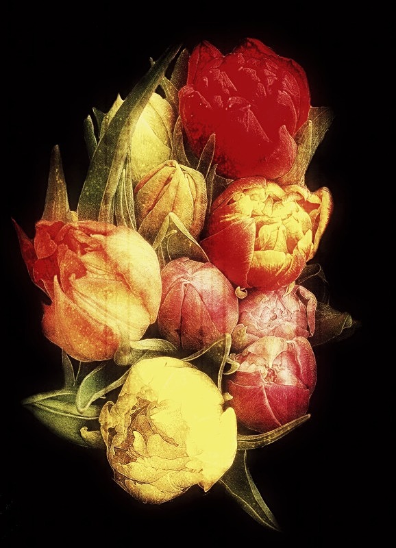  - Flora