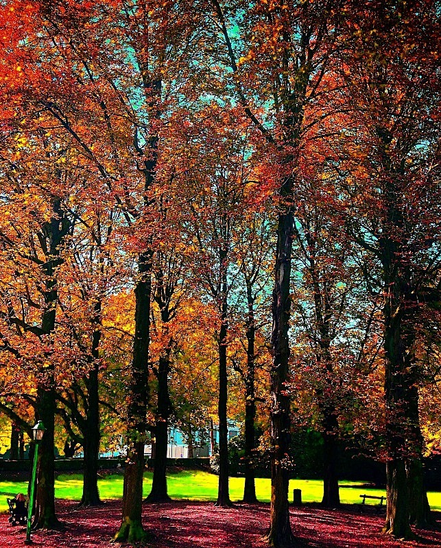 Cinquantenaire Park - November 2012 - Autumn