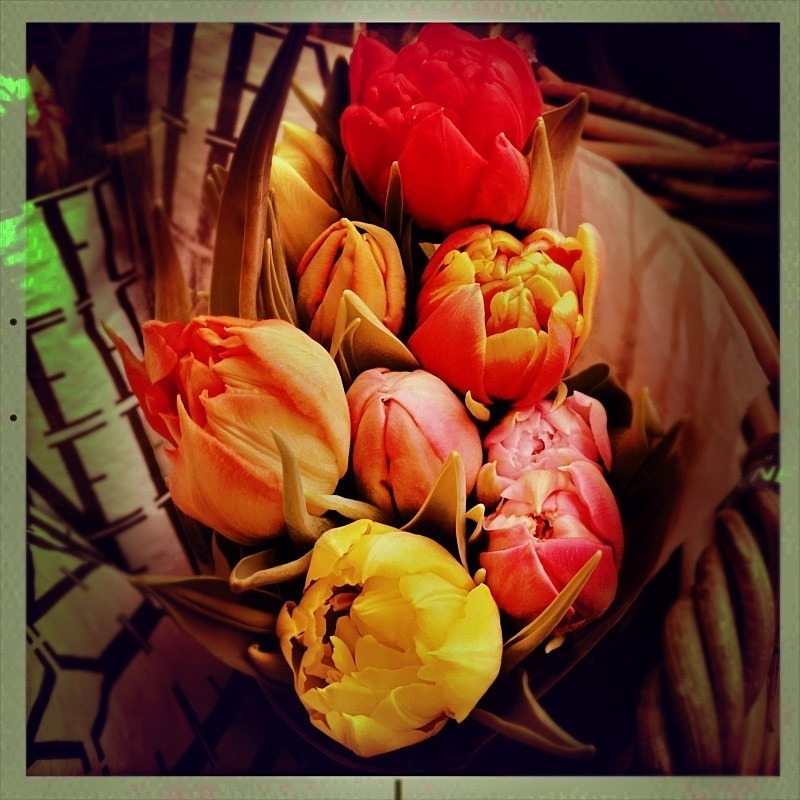  - Flora
