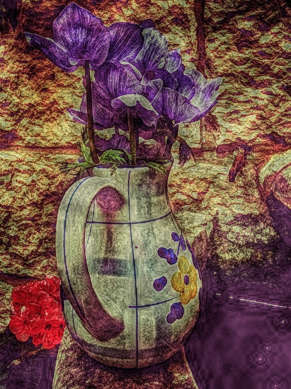  - Flora