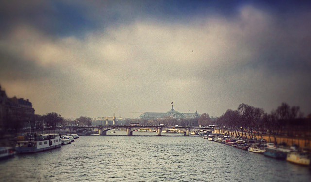 Distant view of the Grand Palais, Paris - Paris ma belle