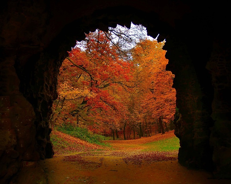 Bois de la Cambre - November 2012 - Autumn