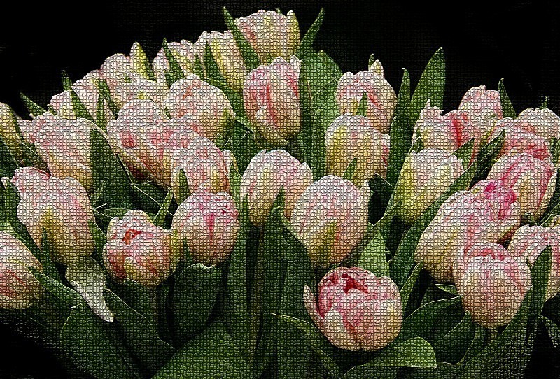  - Flora