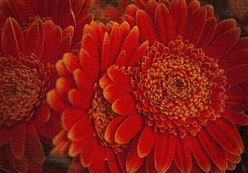  - Flora