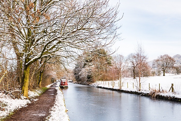 Bridge 29 Macclesfield Canal (1) - Macclesfield in Winter
