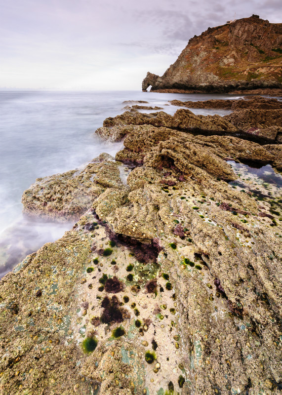 Devon: Prawle Point and Horse Head's Rock (3) - Devon