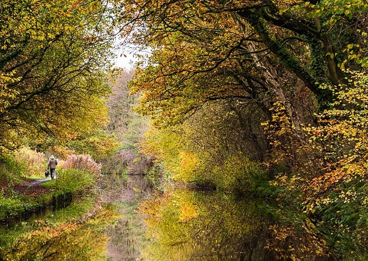 Between Bridges 29 and 30, Macclesfield Canal (3) - Bridges 21 to 30