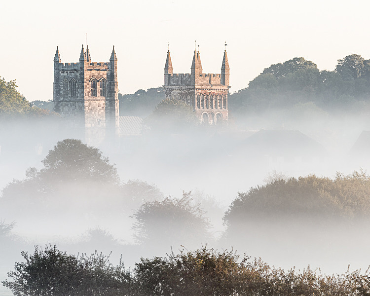 Wimborne Minster (1) - Dorset