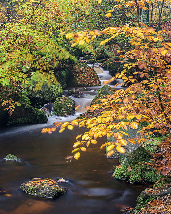 Wyming Brook (2) - Other locations