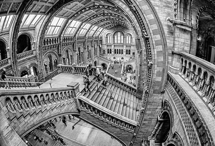 Inside the Natural History Museum - Other locations