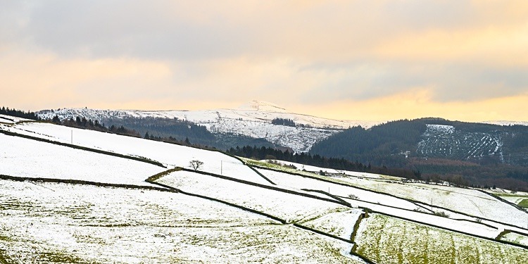 Shutlingsloe from Buxton Old Road (1) - Shutlingsloe