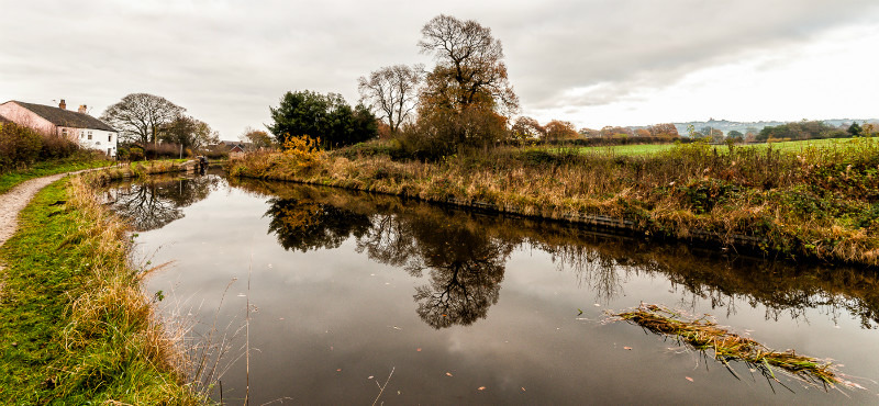 Between Bridges 90 and 91, Macclesfield Canal - Bridges 81 to 90