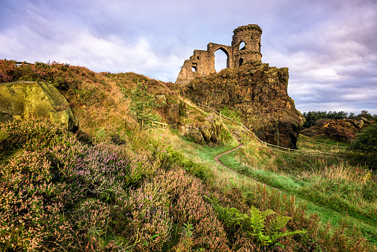 Heather on Mow Cop, Cheshire (3) - Other Cheshire Locations