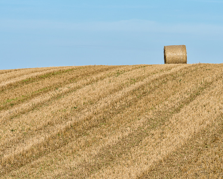 Hay bale near Robin Hood's Bay - Around Whitby