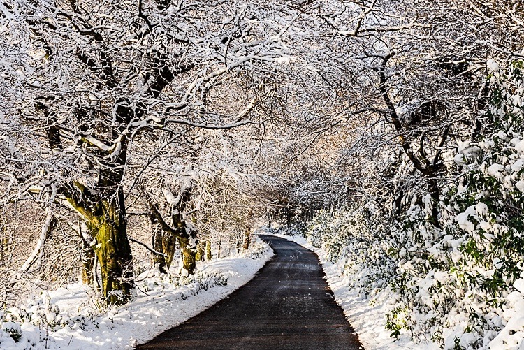 Snowy road in Wildboarclough - Macclesfield in Winter