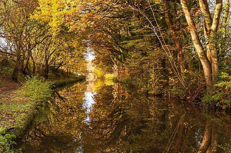 Between Bridges 29 and 30, Macclesfield Canal (1a) - Bridges 21 to 30