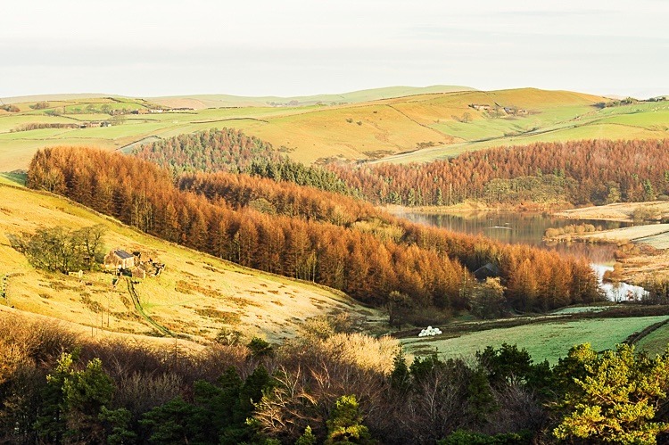 Lamaload reservoir (2) - Macclesfield Countryside