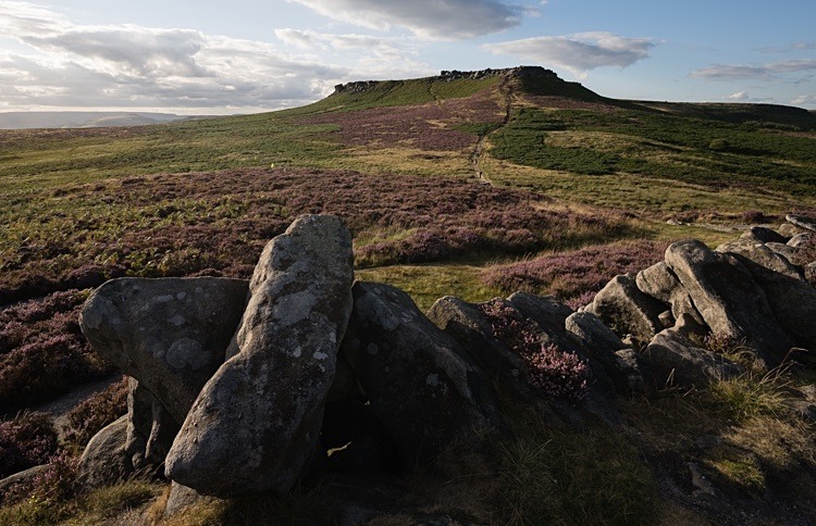 Heather on Carl Wark (1) - Other locations