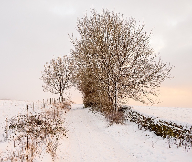 Path to Tegg's Nose - Macclesfield in Winter