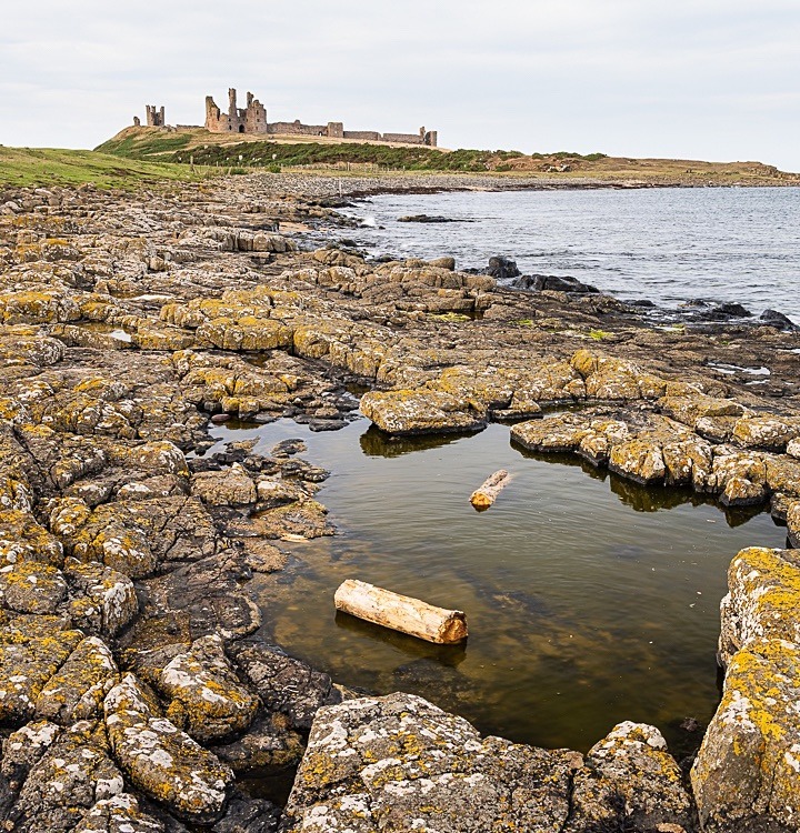 Dunstanburgh from the south (3) - Northumberland
