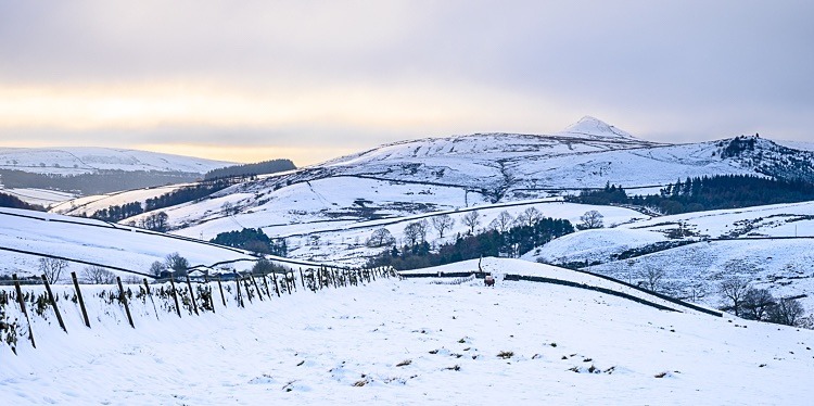Shutlingsloe under snow (6) - Shutlingsloe
