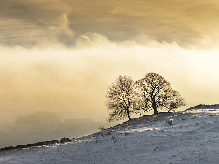 Two Trees, Harpur Hill (1) - Other locations