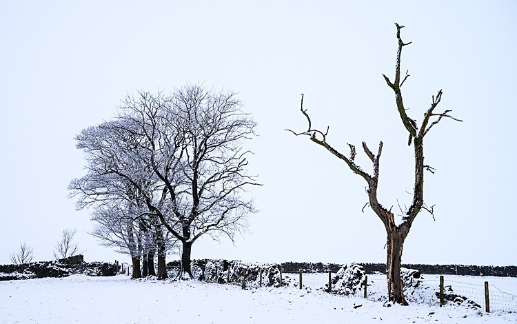 Winter at Tegg's Nose (1) - Other Cheshire Locations
