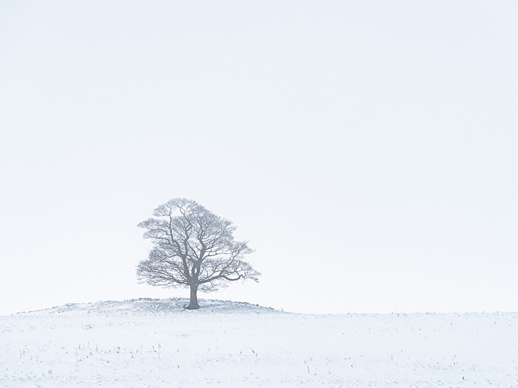 Lone Tree, Earl Sterndale - Other locations