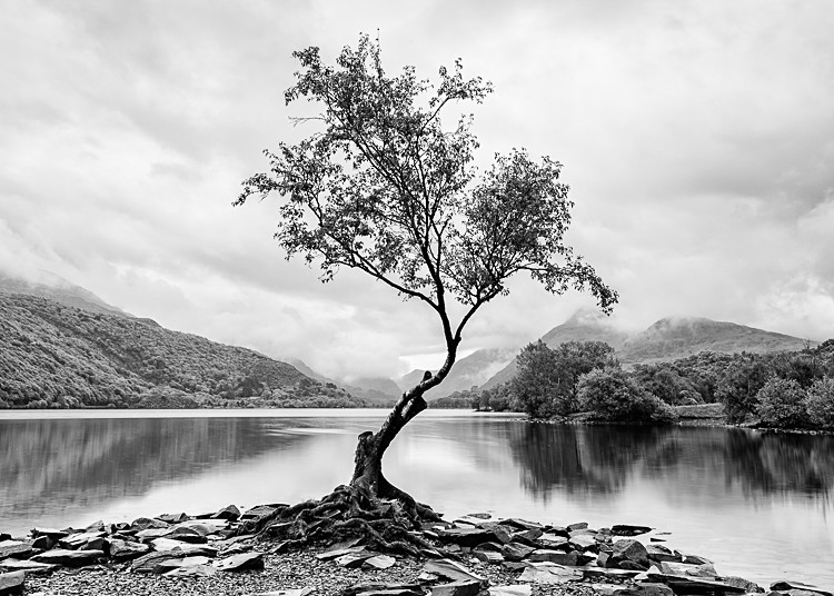 Llyn Padarn (2) - Wales