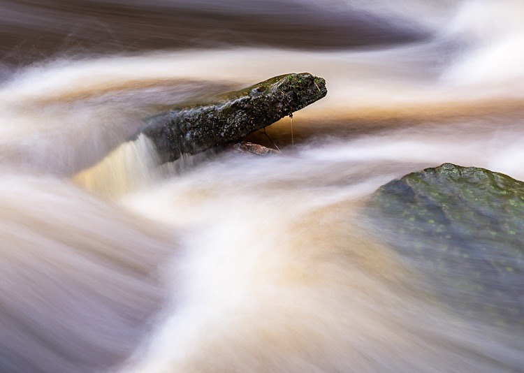 Clough Brook, Wildboarclough - Around Macclesfield Forest