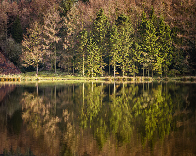 Reflections in Trentabank Reservoir (3) - The Langley Reservoirs