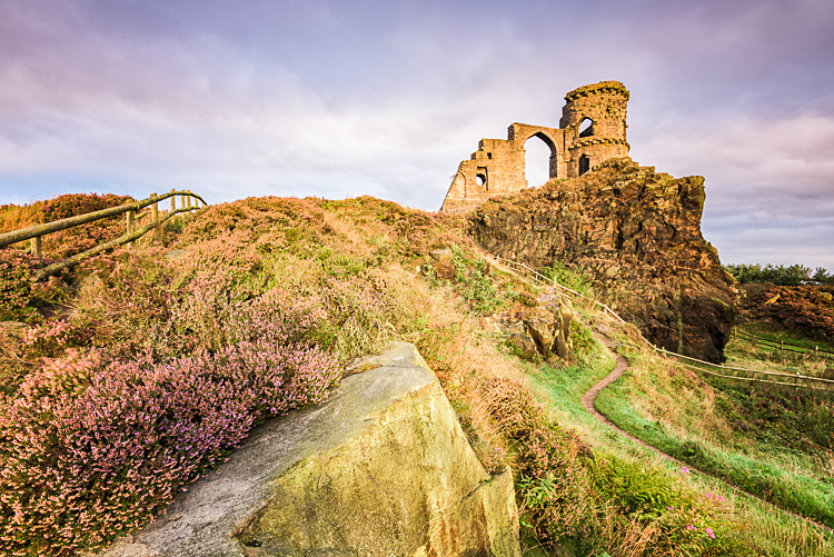 Heather on Mow Cop, Cheshire (2) - Other Cheshire Locations