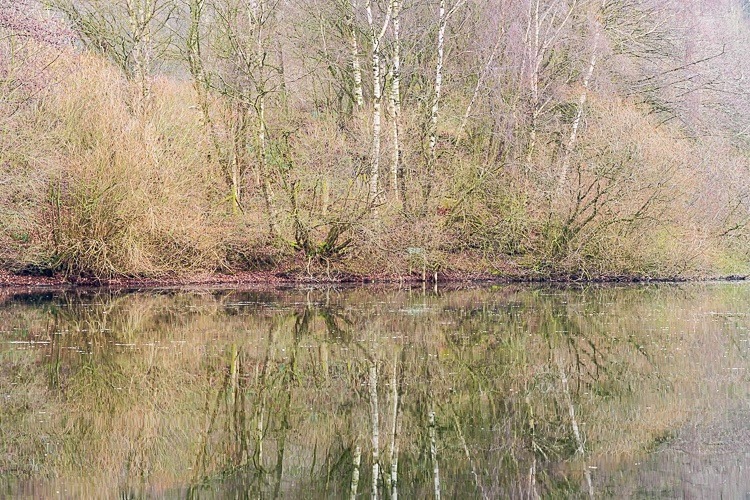 Brereton Pool - Other Cheshire Locations