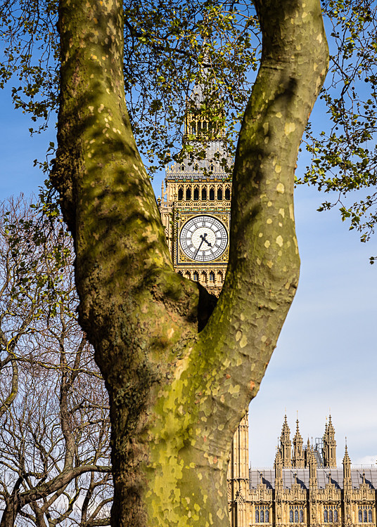 Big Ben from Parliament Square - Westminster
