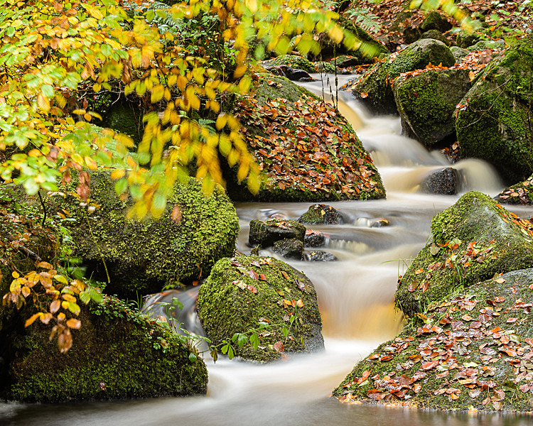 Wyming Brook (1) - Other locations