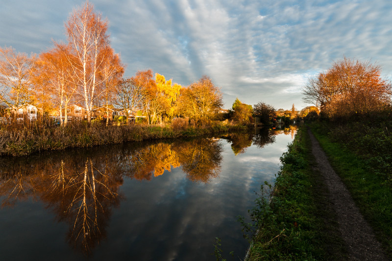 Between Bridges 76 and 77, Macclesfield Canal (1) - Bridges 71 to 80