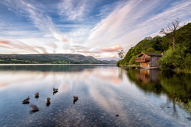 Ducks by the Duke of Portland Boathouse, Ullswater - The Lake District